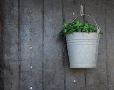 The Contained Vegetable Garden Image